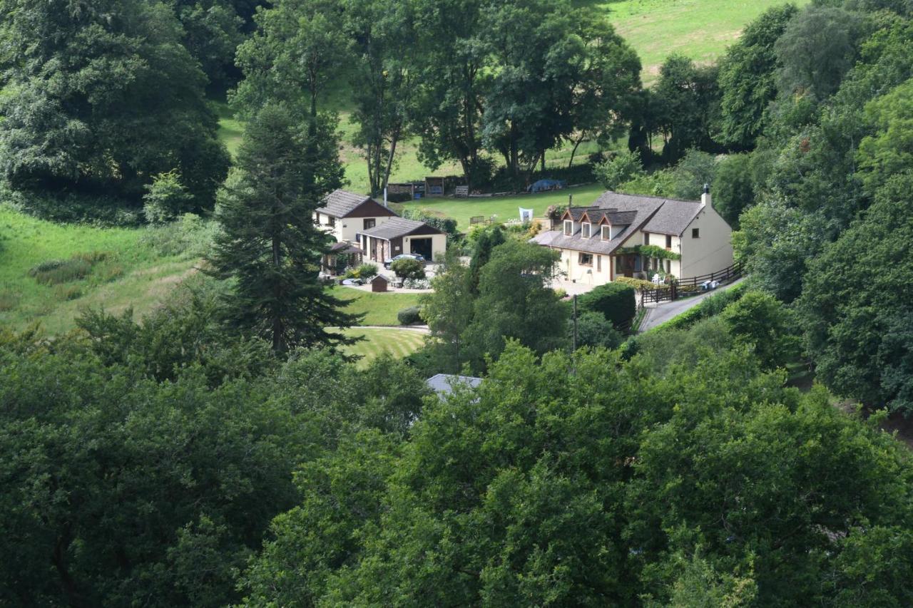 Ty Twt - Complete Holiday Home Llandysul Buitenkant foto