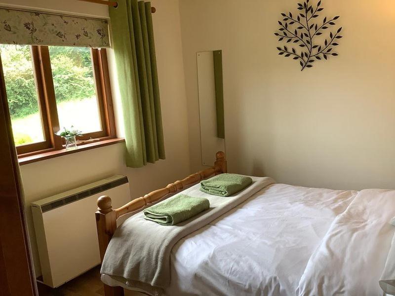 Ty Twt - Complete Holiday Home Llandysul Buitenkant foto