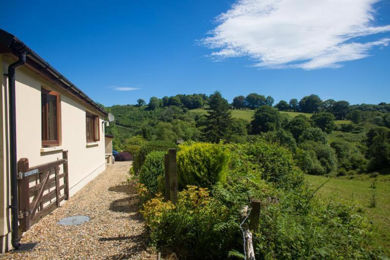 Ty Twt - Complete Holiday Home Llandysul Buitenkant foto